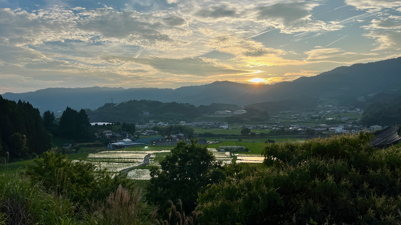 A beautiful view of Wazuka from the Azuma tea farm.