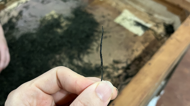 Hand rolled needle after a training session before the competition.