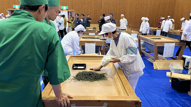 One of the staff members collecting the sample to submit for evaluation.